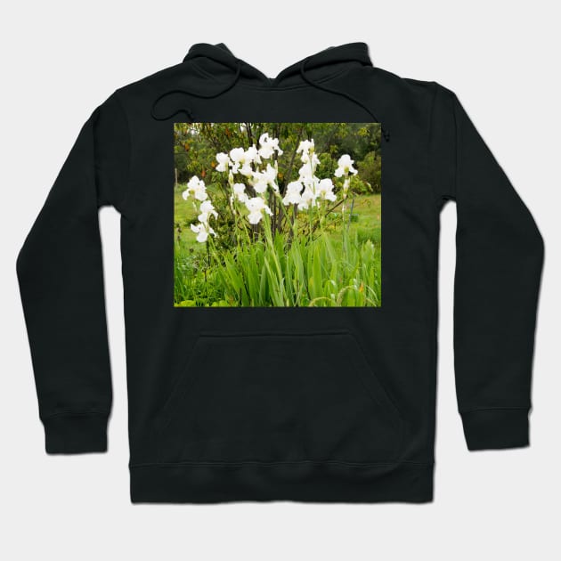 fli iris Hoodie by pcfyi